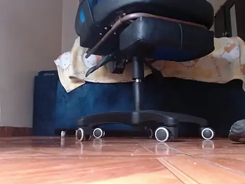 alphaswitchard webcam