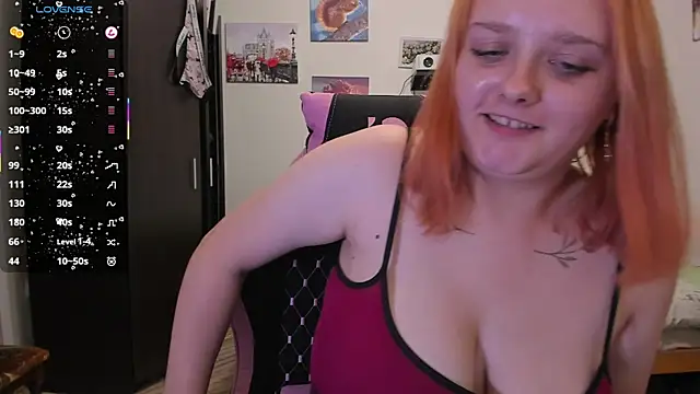 Kofein live webcam