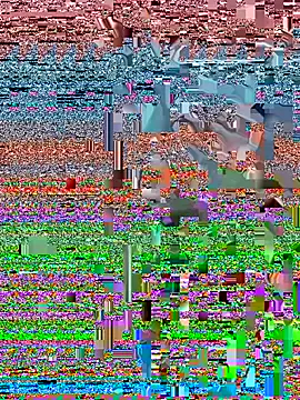 Atammy webcam