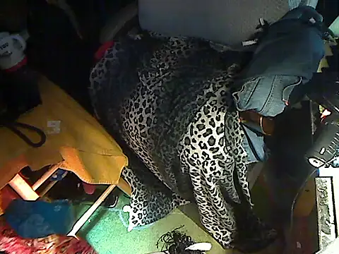 Dreamzluvz2 webcam