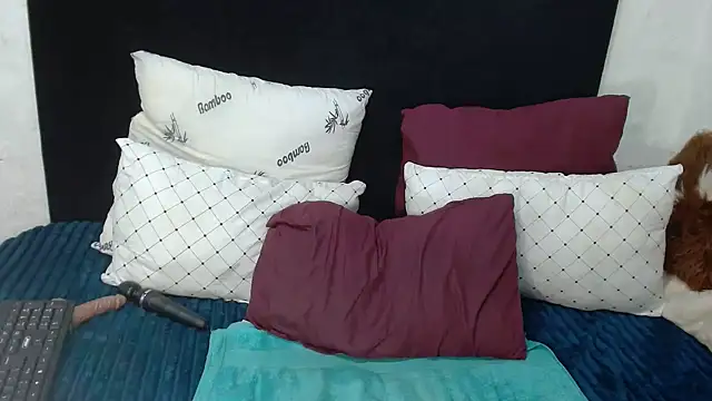 BaselBlues webcam