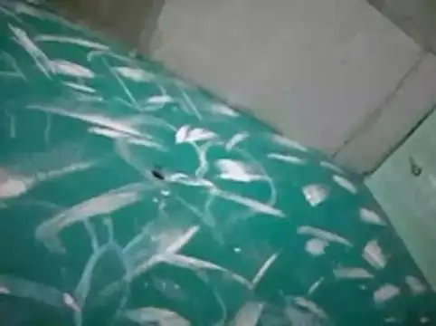 master_badboy webcam
