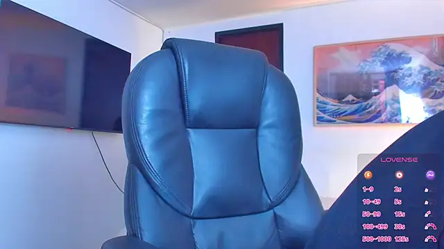 RJBarto webcam