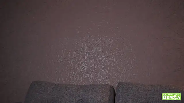 qwellq webcam