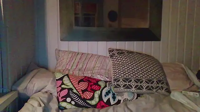 Stock-Holmes webcam