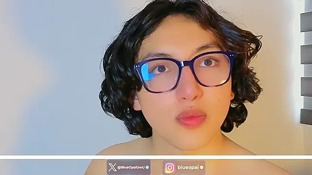 -BlueOpal- webcam