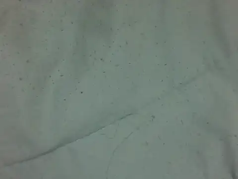 nasty-petite webcam