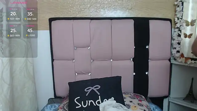 palmer_mIix webcam