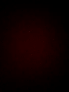 Rex1035 webcam