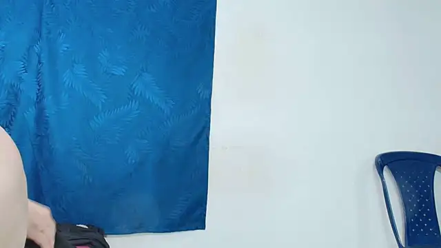 dominant_hipss webcam