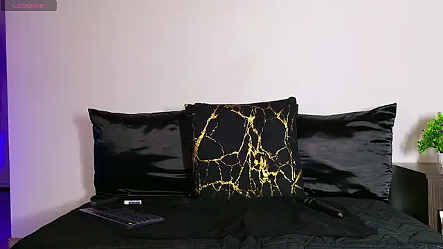 alex_noa webcam
