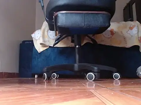 alphaswitchard webcam