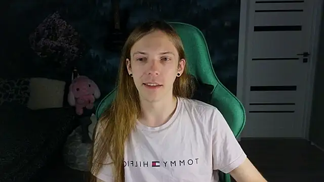 artass2 webcam