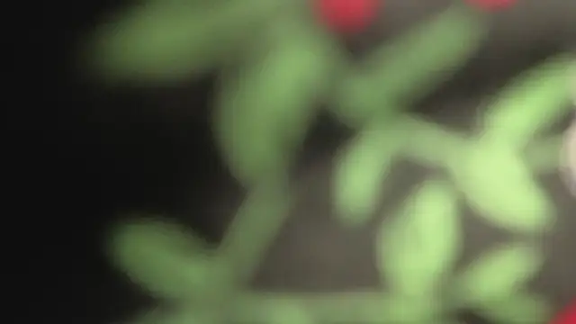 Princess_Violett webcam