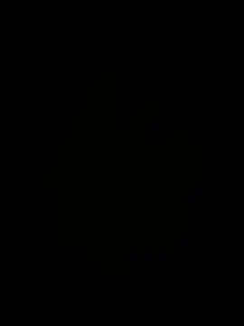 sofia-GS webcam
