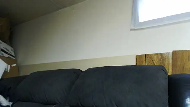 BrisonChase live cam on StripChat