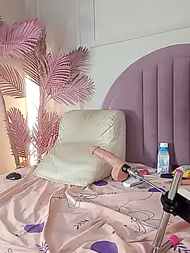 Nalapalmer webcam