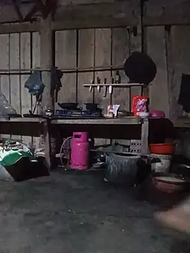 Heli_pusy webcam