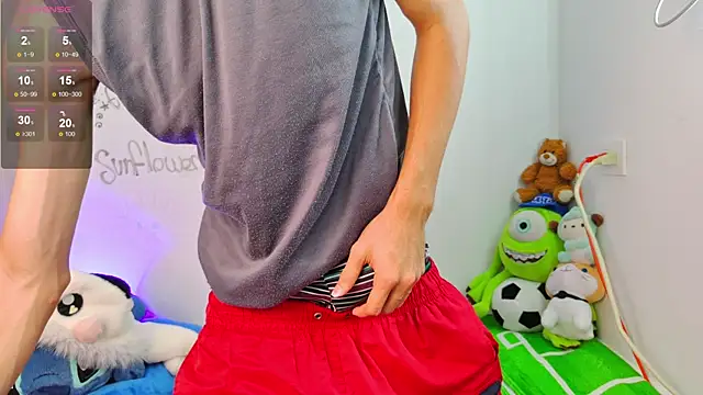 Ely_king webcam