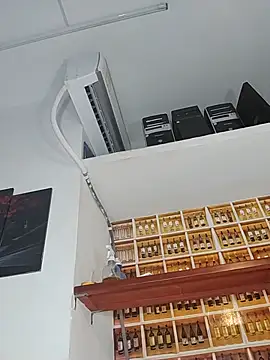 _Shirley_ webcam