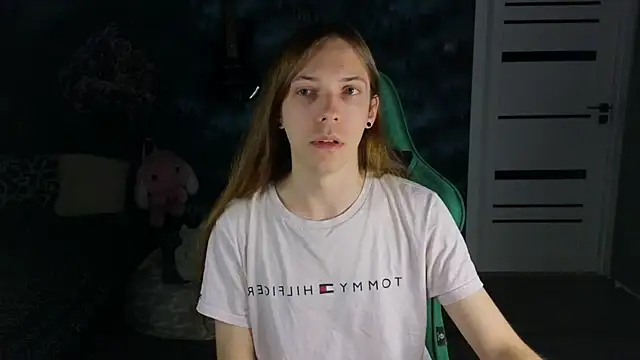 artass2 webcam