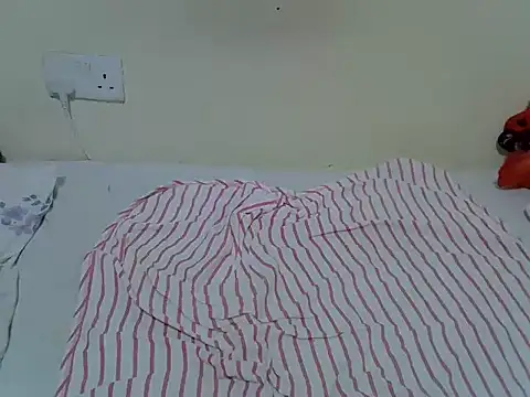 Twerl webcam