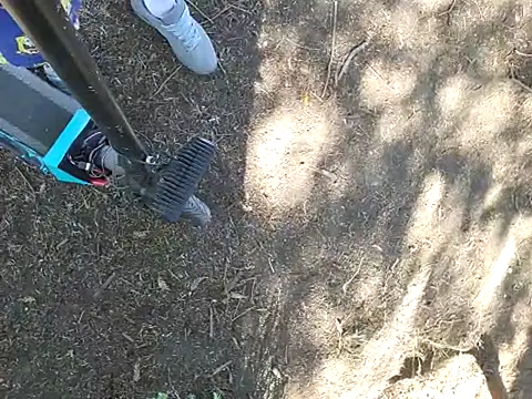 415cali925 webcam