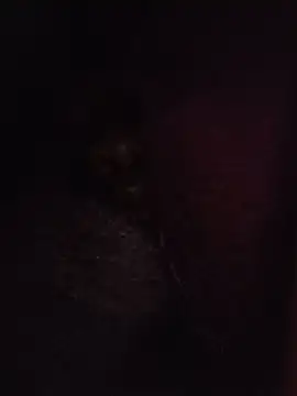 sexxoophone - Sexxoophone's free webcam - UK Sex Cams