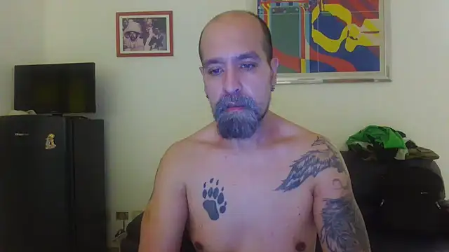 AMIRDIB2025 live cam on StripChat
