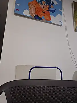 IrisBound webcam