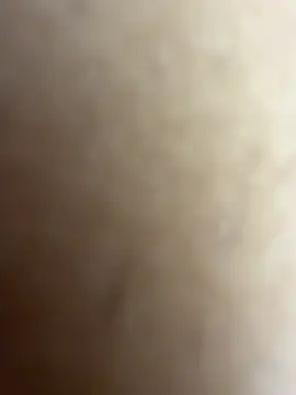 AndrewBigPolla webcam
