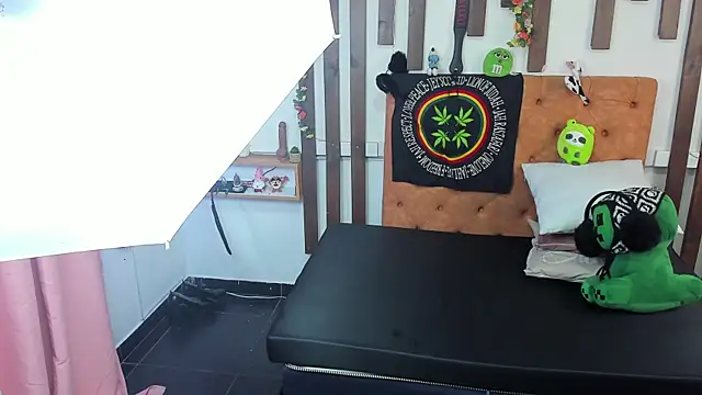 MeowMota_ webcam