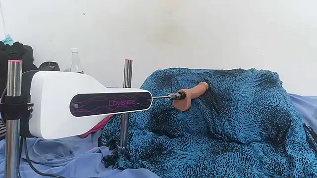 pinkycat webcam
