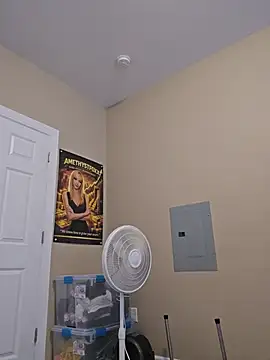 AmethystFoxx webcam