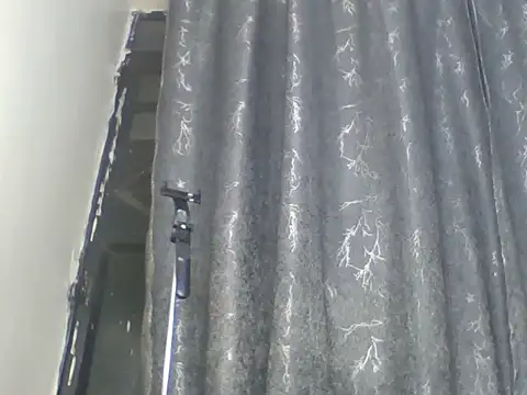 greeshi webcam
