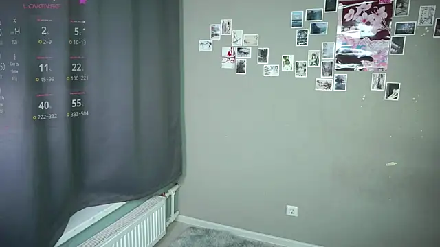 DellaLeck webcam