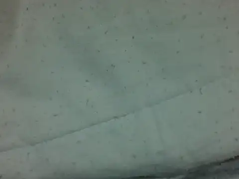 nasty-petite webcam