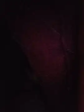 Sexxoophone live cam on StripChat