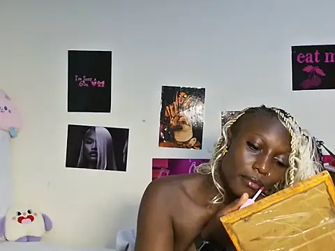 Aria_ah webcam