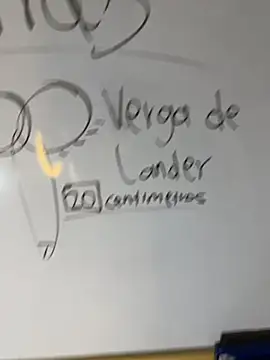Lander_Cruz webcam