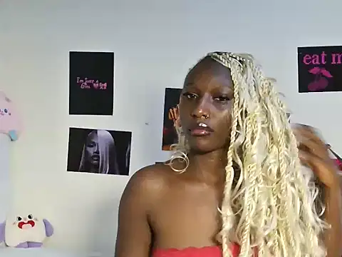 Aria_ah webcam