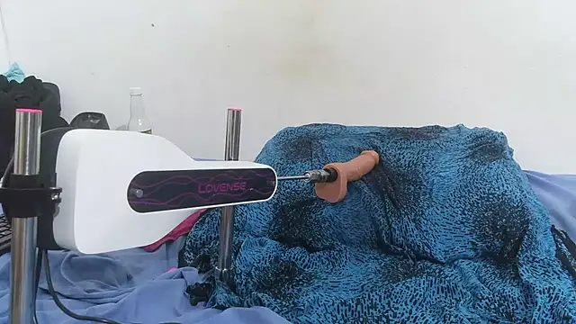 pinkycat webcam