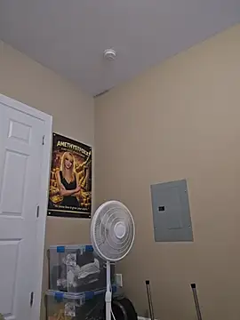 AmethystFoxx webcam