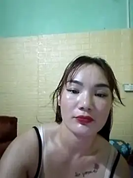 Voiva11 webcam