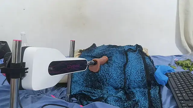 pinkycat webcam