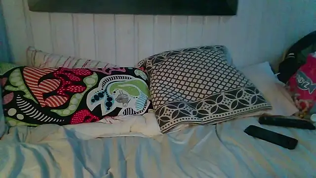 Stock-Holmes webcam