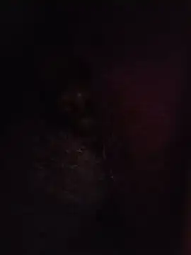 Sexxoophone live cam on StripChat