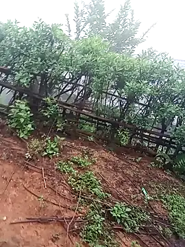 30yearr webcam