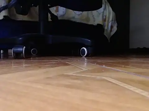 alphaswitchard webcam