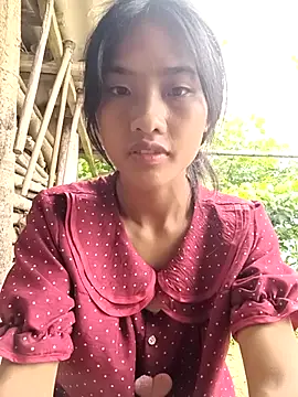 Hoa-tuylip live webcam